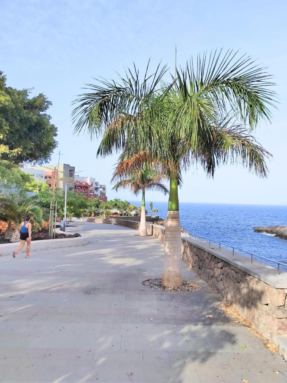 Mirador Del Paraiso 213 - 2 Bedrooms 帕莱索海滩 外观 照片
