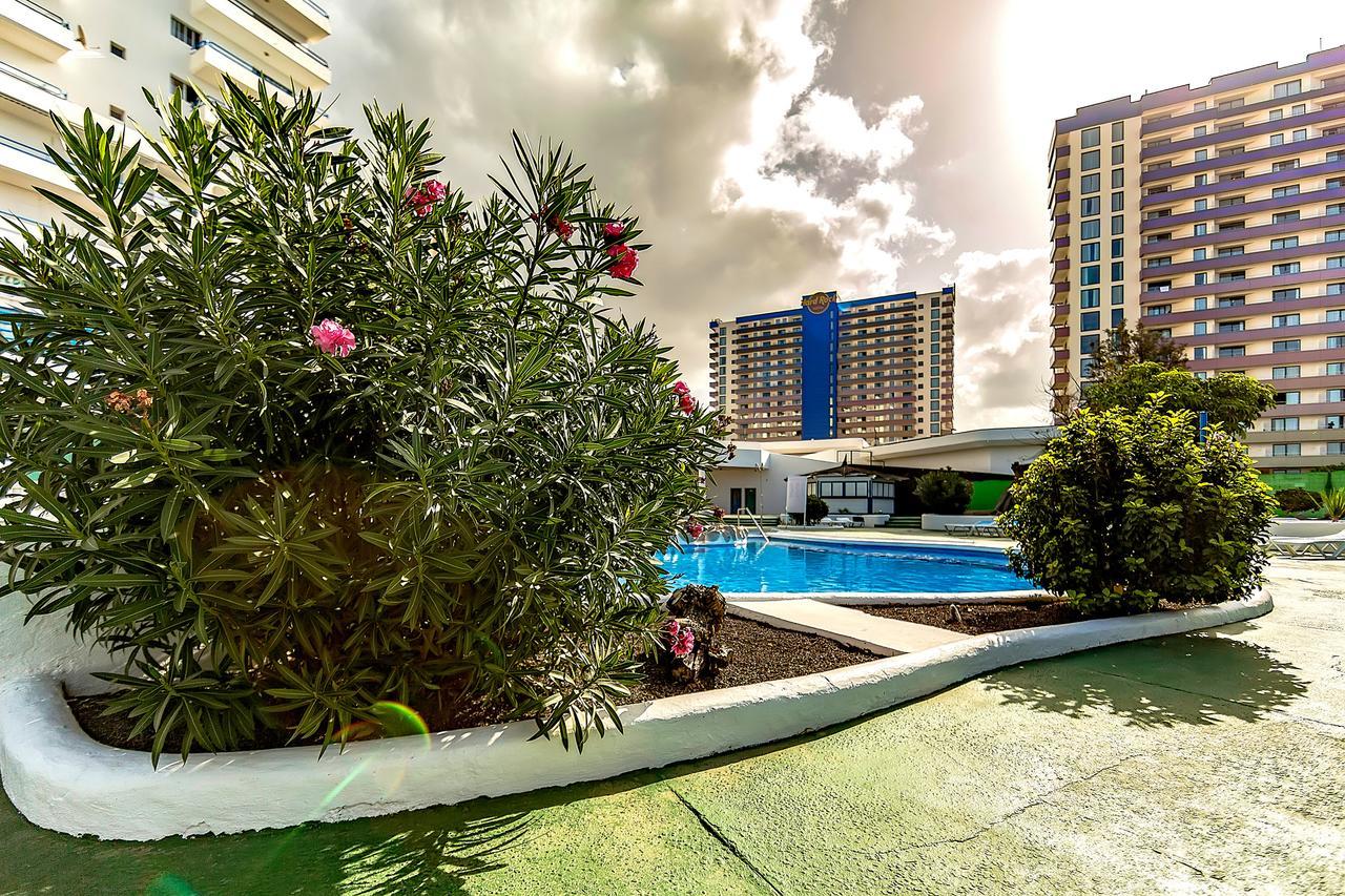 Mirador Del Paraiso 213 - 2 Bedrooms 帕莱索海滩 外观 照片